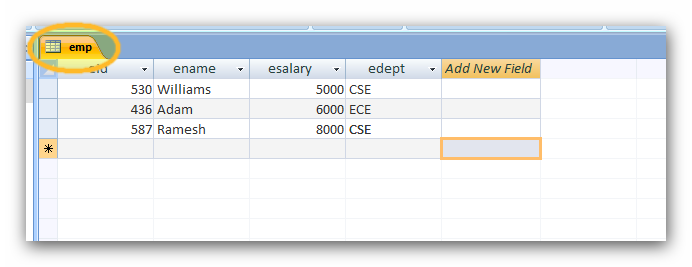 6 datasheetview p9